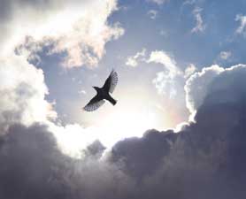 neurosurgeon-life-after-death-121015-679145-